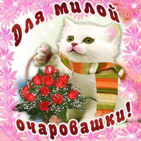 Красивая лучшая бесплатная открытка с поздравлением с милым очаровательным белым котенком! Открытка добра! скачать открытку бесплатно | pozdravok.qwestore.com