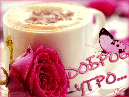 С добрым утром, любимая! Роза для любимой! Красивые открытки бесплатно! скачать открытку бесплатно | pozdravok.qwestore.com
