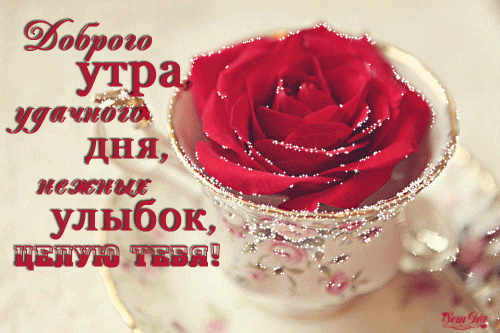 Красивая красивая лучшая бесплатная открытка с поздравлением с красной розой! Доброе утро! Скачать красивую картинку на праздник онлайн! скачать открытку бесплатно | pozdravok.qwestore.com