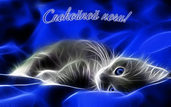 Открытка, сладких снов, спокойной ночи, пожелание, котенок, кот, синие глаза. Скачать бесплатно!  Красивая открытка, картинка сладких снов любимому дедушке от внуков!  Распечатать пожелание. Поздравления!  