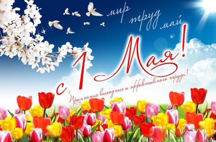 Красивая лучшая бесплатная открытка с поздравлением на 1 мая, лучшая бесплатная открытка с поздравлением с полем тюльпанов, 1 мая, Первомай, праздник, природа, небо, цветы, День весны и труда, поздравлени! Печать открытки! скачать открытку бесплатно | pozdravok.qwestore.com