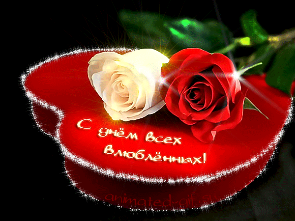 Красивая лучшая бесплатная открытка с поздравлением, анимация, лучшая бесплатная открытка с поздравлением, 14 февраля. Открытки  Красивая лучшая бесплатная открытка с поздравлением, анимация, лучшая бесплатная открытка с поздравлением, 14 февраля, сердце, Лень всех влюбленных, День Святого Валентина скачать бесплатно онлайн! Скачать красивые картинки быстро можно здесь! скачать открытку бесплатно | pozdravok.qwestore.com