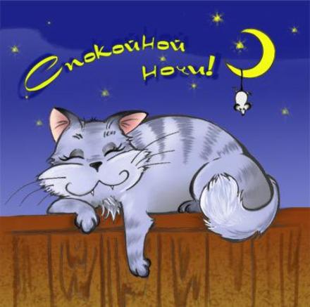 Красивая лучшая бесплатная открытка с поздравлением, спокойной ночи, доброй ночи, звездная ночь, звезды в небе, луна, кот на заборе, ночной кот. Красивые открытки бесплатно! скачать открытку бесплатно | pozdravok.qwestore.com