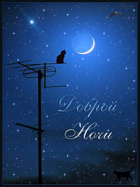 Красивая красивая лучшая бесплатная открытка с поздравлением, гиф, анимация, доброй ночи, красивая лучшая бесплатная открытка с поздравлением с ночными черными котами, звездное небо, сияющая луна. Красивые открытки бесплатно! скачать открытку бесплатно | pozdravok.qwestore.com
