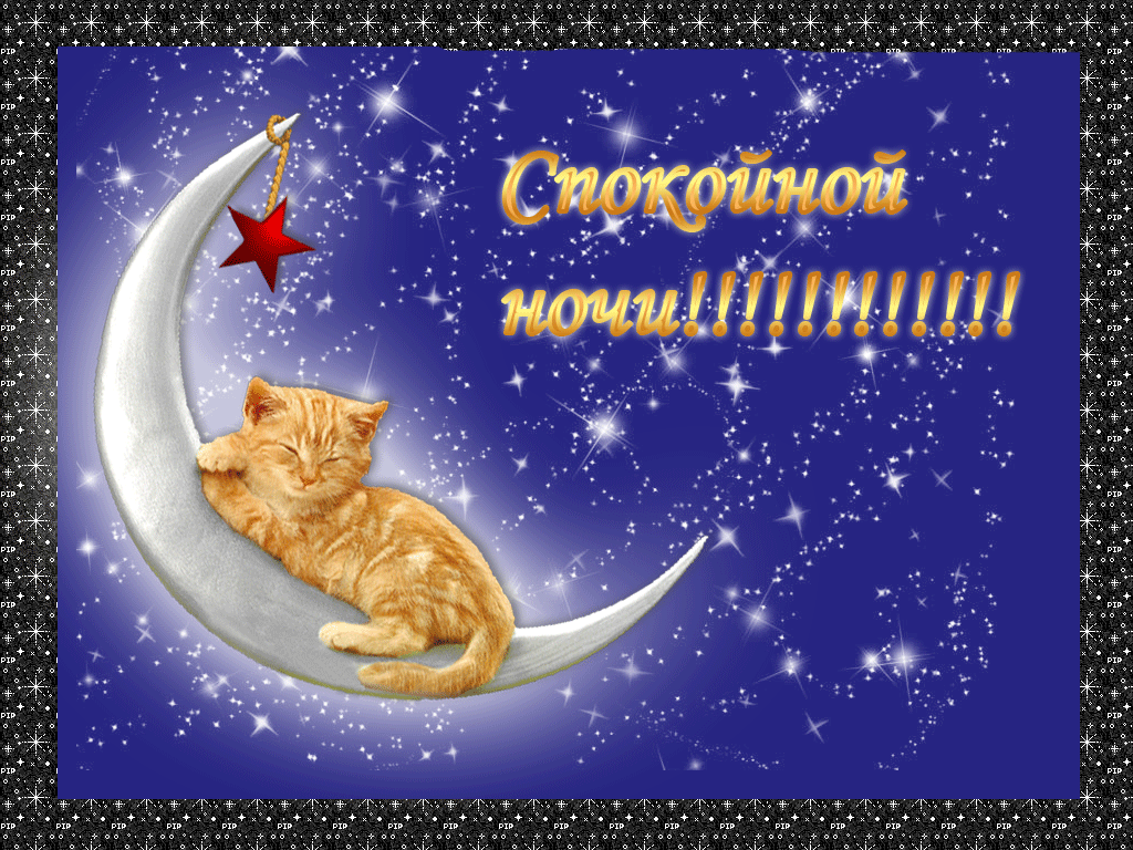 Красивая лучшая бесплатная открытка с поздравлением GIF, анимация, красивая красивая лучшая бесплатная открытка с поздравлением спокойной ночи с котенком, месяцем, луной, звездами! Звездной небо, кот! Спокойной ночи! Красивые открытки бесплатно! скачать открытку бесплатно | pozdravok.qwestore.com