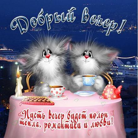 Красивая лучшая бесплатная открытка с поздравлением Добрый вечер! Милые котики за столом! Чаепитие! Приятного вечера! Два милых пушистых котика для Тебя! Скачать красивые открытки бесплатно онлайн прямо сейчас! скачать открытку бесплатно | pozdravok.qwestore.com