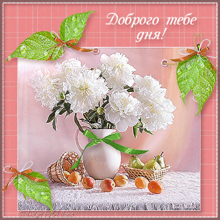 Красивая лучшая бесплатная открытка с поздравлением хорошего дня! Белые цветы! Доброго тебе дня! Пожелание хорошего дня! Отличного, прекрасного дня! Открытка добра! скачать открытку бесплатно | pozdravok.qwestore.com