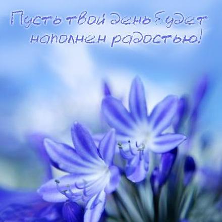 Красивая лучшая бесплатная открытка с поздравлением хорошего дня! Радостного дня! Голубые цветы. Синие цветочки. Пожелание хорошего дня! Отличного, прекрасного дня! Распечатать открытку! скачать открытку бесплатно | pozdravok.qwestore.com