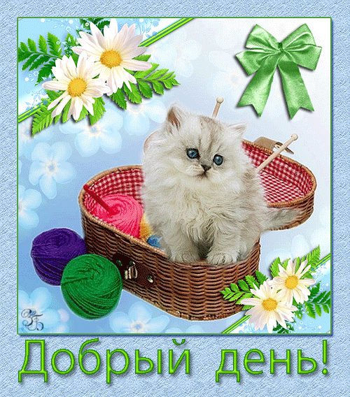 Красивая лучшая бесплатная открытка с поздравлением хорошего дня! Добрый день! Котенок с цветными клубочками! Пожелание хорошего дня! Отличного, прекрасного дня! Скачать красивые открытки бесплатно онлайн прямо сейчас! скачать открытку бесплатно | pozdravok.qwestore.com
