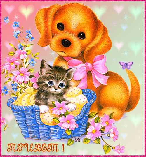 Красивая лучшая бесплатная открытка с поздравлением привет, приветик! Милая красивая лучшая бесплатная открытка с поздравлением с котенком и щенком! Красивая лучшая бесплатная открытка с поздравлением с милыми животными! Красивая лучшая бесплатная открытка с поздравлением с милым щенком! Лучшая бесплатная открытка с поздравлением привет, приветик! Печать открытки! скачать открытку бесплатно | pozdravok.qwestore.com