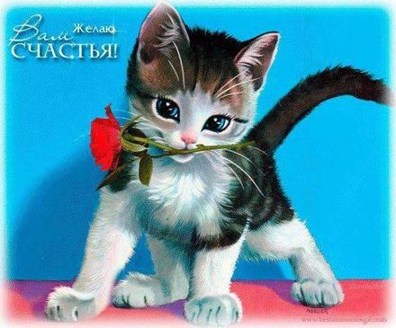 Красивая лучшая бесплатная открытка с поздравлением на счастье! Пожелание счастья! Котенок с розой! Скачать красивую открытку бесплатно онлайн! скачать открытку бесплатно | pozdravok.qwestore.com
