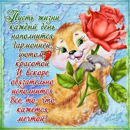 Красивая лучшая бесплатная открытка с поздравлением на счастье! Пожелание счастья! Рыжий котенок с розой! Скачать красивые открытки бесплатно онлайн прямо сейчас! скачать открытку бесплатно | pozdravok.qwestore.com
