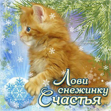 Красивая лучшая бесплатная открытка с поздравлением на счастье! Пожелание счастья! Снежинка счастья! Котенок! Печать открытки! скачать открытку бесплатно | pozdravok.qwestore.com