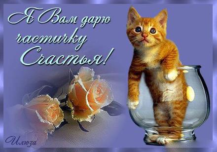 Красивая лучшая бесплатная открытка с поздравлением на счастье! Пожелание счастья! Котенок и розы! Скачать красивую открытку бесплатно онлайн! скачать открытку бесплатно | pozdravok.qwestore.com