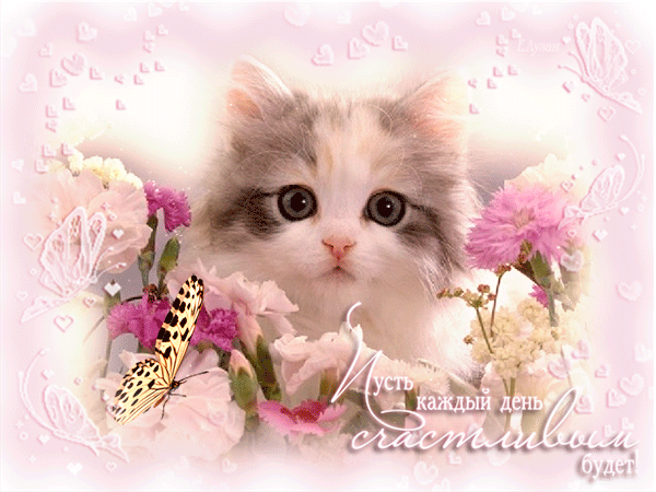 Красивая лучшая бесплатная открытка с поздравлением на счастье! Пожелание счастья Милый котенок в цветах! Печать открытки! скачать открытку бесплатно | pozdravok.qwestore.com