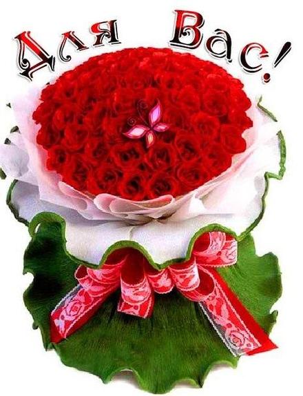 Красивая лучшая бесплатная открытка с поздравлением для Тебя, красные цветы, букет роз, лучшая бесплатная открытка с поздравлением Тебе, просто так, от всей души, для Тебя! Печать открытки! скачать открытку бесплатно | pozdravok.qwestore.com
